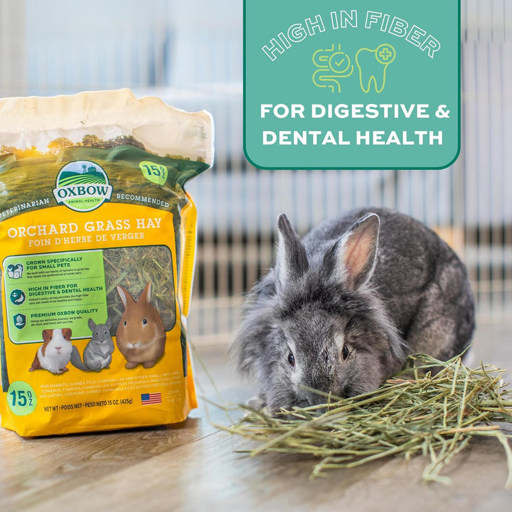 Animal Health Orchard Grass, Guinea Pig Hay, Rabbit Hay, Small Pet Bunny Supplies, All Natural Grass for Guinea Pig, Bunny, Chinchilla & Hamster,  Rabbit Supplies for Bunnies, 9 Lb. Box