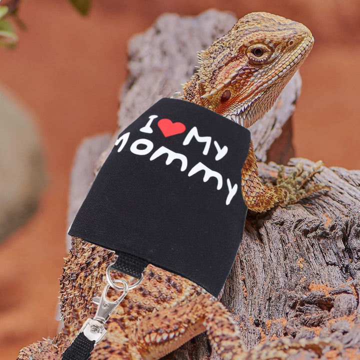 Small Animal Travel Backpack Carrier,Portable Bearded Dragon Bag for Sugar Glider,Hedgehog,Rat,Bunny,Rat,Outdoor Used (Black, Carrier L+ I Leash)