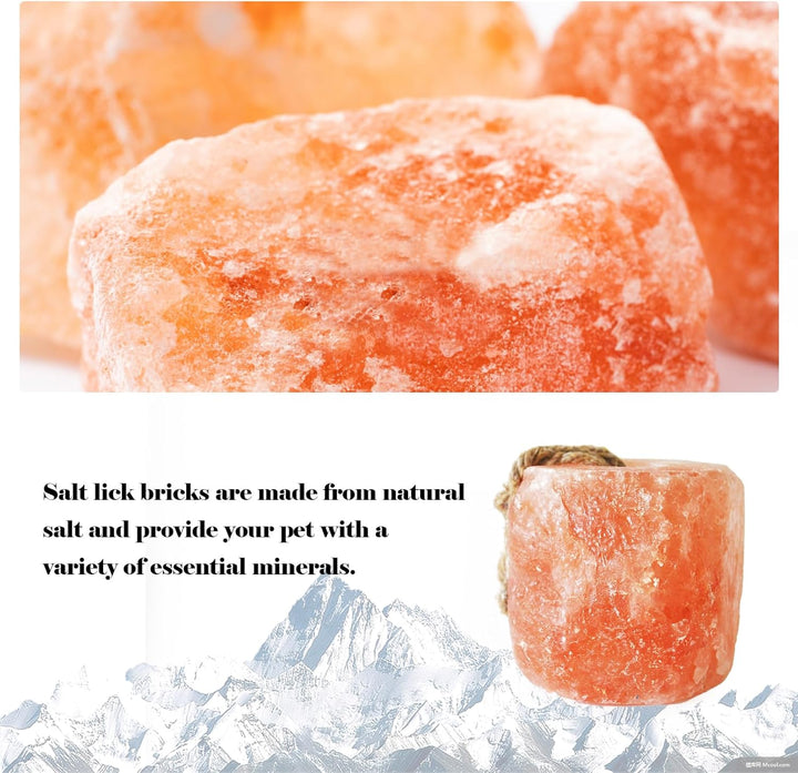 Himalayan Salt Lick Salt Block on Rope for Horse Animals Mineral Salt Licks Natural Pink Licking Salt for Horses Deer Cattle Sheep and Other Livestock (2 Pcs,4.8-6.6 Lbs)