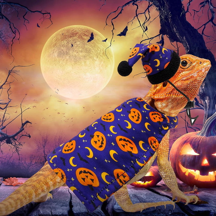 Halloween Bearded Dragon Costume, Cute Pumpkin Pattern Holiday Small Pet Clothes and Hat Set Outfit, Lizard Reptiles Small Animal Accessories