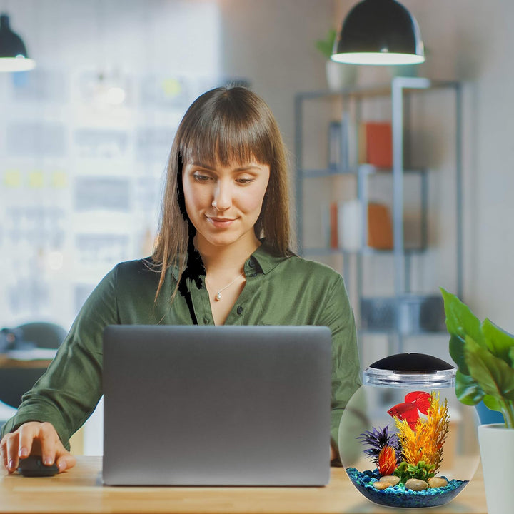 1-Gallon Globe Fish Bowl, Impact- Resistant Plastic Aquarium Starter Kit with LED Lighting, Built-In Timer, Crystal-Clear Clarity, Desktop Fish Tank for Home Décor