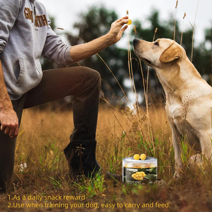 Freeze Dried Cat and Dog Treats Quail Egg Yolk, Healthy Tasty Snacks for Cats Dogs Training, Natural Freeze-Dried Limited Ingredient,Wholesome and Delicious Snacks for Pets (S, Quail)