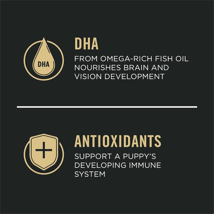 Large Breed Dry Puppy Food, Chicken and Rice Formula - 34 Lb. Bag