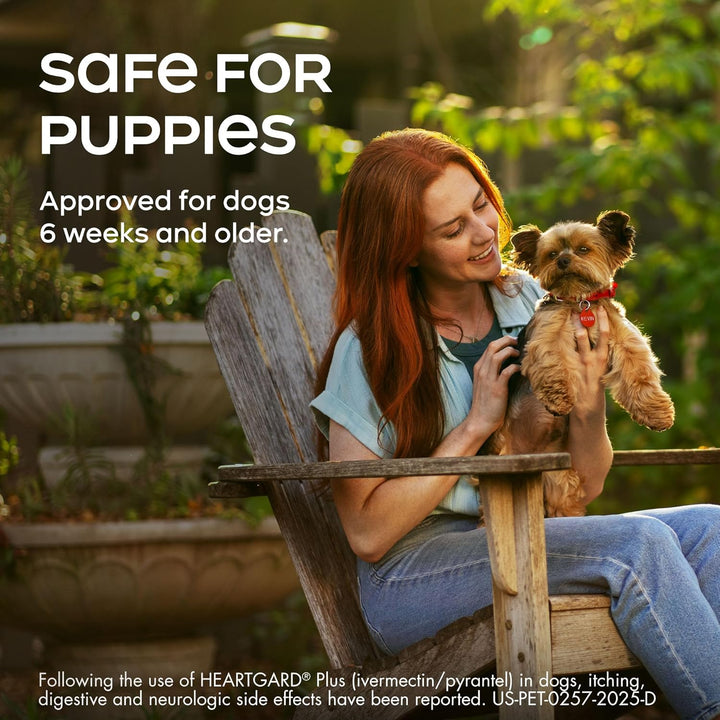 ® plus (Ivermectin/Pyrantel) Real-Beef Chewables for Dogs up to 25 Lbs (Blue Box) 6 Month Supply of Chews (Heartworm Disease Preventive)