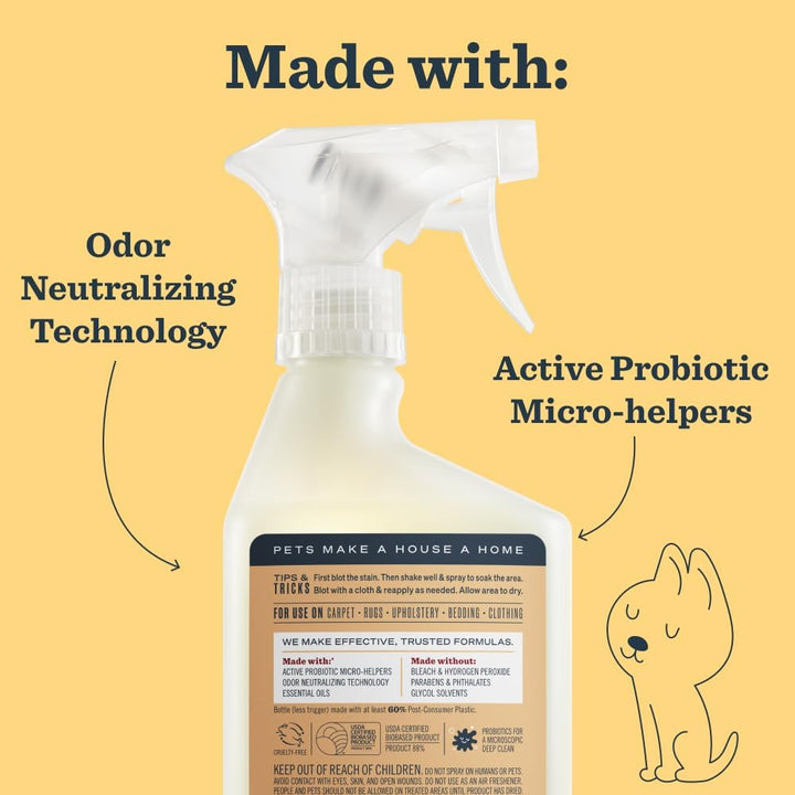 CLEAN DAY Pet Stain & Odor Fighter, Orange Blossom Scent, 16Oz