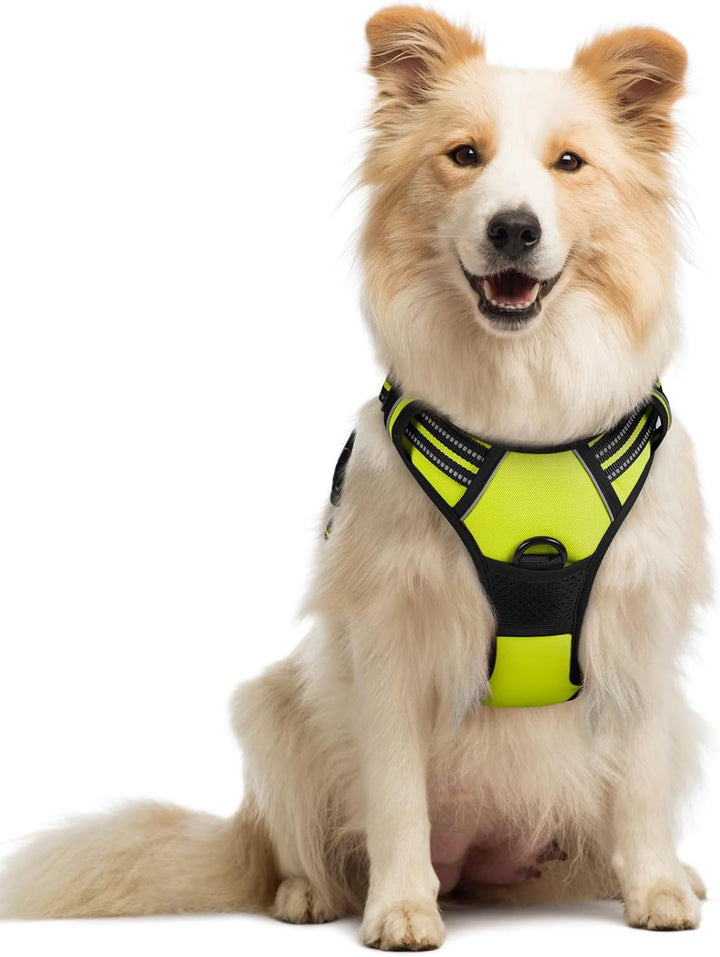 Dog Harness No Pull with 2 Leash Clips, Adjustable Soft Padded, Reflective Oxford No Choke Pet Vest with Easy Control Handle for Large Dogs, Black, L