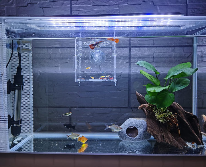 Acrylic Fish Breeding Box, Acrylic Fish Isolation Box, Fish Separator for Aquarium, Hatchery Incubator with Suction Cups for Small Baby Fishes Shrimp Clownfish Guppy (3.9 * 3.9 * 3.9Inch)