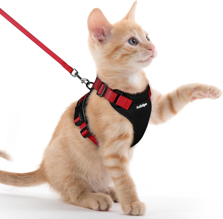 Cat Harness and Leash for Walking, Escape Proof Soft Adjustable Vest Harnesses for Cats, Easy Control Breathable Reflective Strips Jacket, Black, XS