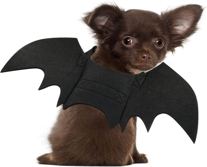 Dog Bat Costume - Halloween Pet Costume Bat Wings Cosplay Dog Costume Cat Costumes for Party L
