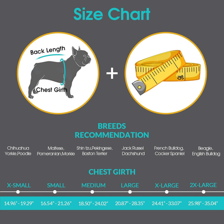 XS Dog Life Jacket, Puppy Life Jackets for Small Dogs, Small Doggie Life Vest for Swimming, Lightweight Extra Small Dog Swim Vest with Handle, Puppy Life Vest for Boating, Cat Lifevest