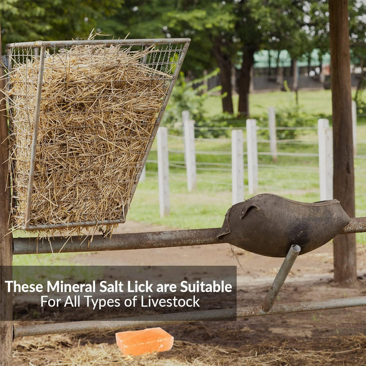 Licking Salt for Horse, 100% Pure Himalayan Pink Salt Chunks, 6 LBS, Animal Feed Salt Chunks, Horse Salt Licks, Natural Mineral Salt - Pack of 2