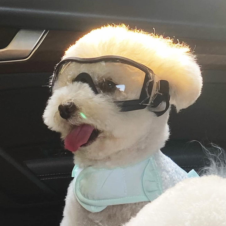 Dog Sunglasses Medium to Large Dog UV Transparent Goggles Windproof Anti-Dust Snowproof Pet Glasses with Elastic Straps, Clear