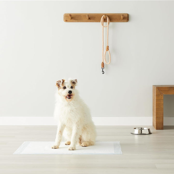 Dog and Puppy Pee Pads with 5-Layer Leak-Proof Design and Quick-Dry Surface for Potty Training, Heavy Duty Absorbency, X-Large, 28 X 34 Inch - Pack of 25, Blue & White