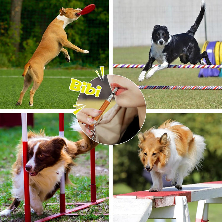 2 Pack Dog Whistle, Dog Whistle to Stop Barking Neighbors Dog, Adjustable Ultrasonic Silent Dog Whistle, Professional Recall Dog Training Whistles, with Lanyard (Blue&Orange)