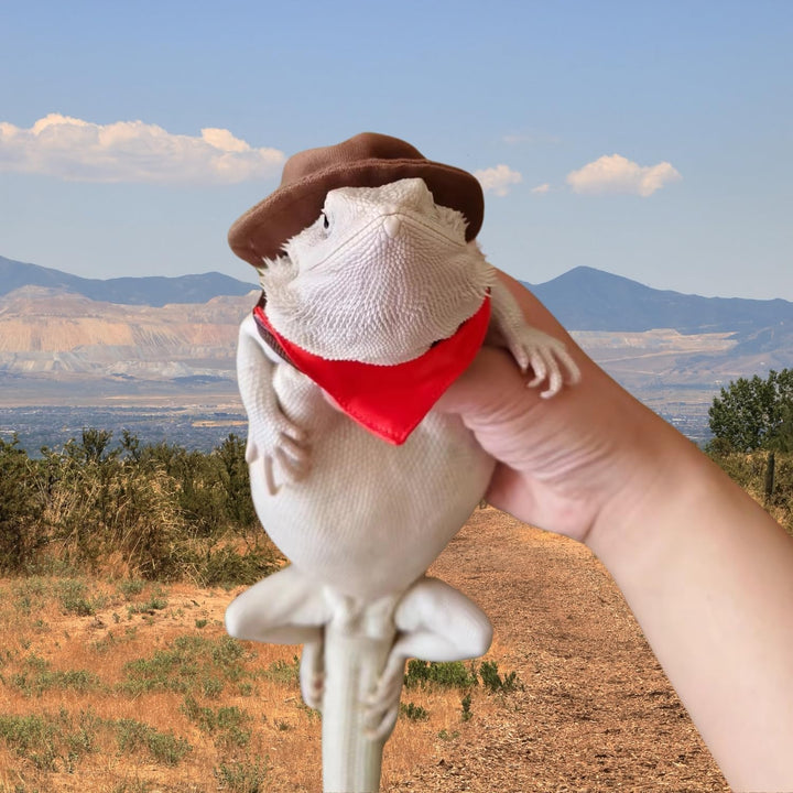 Bearded Dragon Cowboy Costume - Adjustable Lizard Cowboy Hat and Bandana Scarf Reptile Halloween Costume Photo Props for Gecko Chameleon Amphibians Ferret Hamster (Brown)
