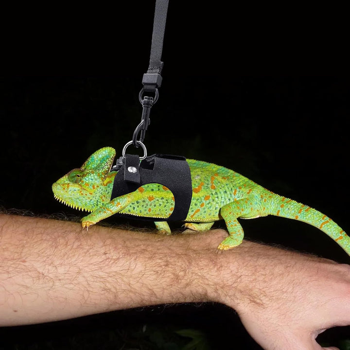 Bearded Dragon Harness and Leash Set, 3 Size Adjustable Soft Leather Reptile Leash, Lizard Harness with Retractable, Small Animal Outdoor Walking Vest with Traction Rope, 3 Pack, Black