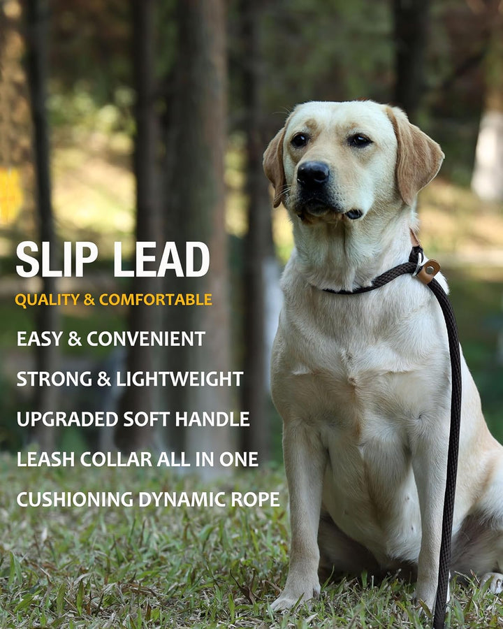 Dog Leash Slip Lead 5 6 8 FT Dog Training Leash Strong Heavy Duty Rope No Pull Training Lead Leashes for Dogs