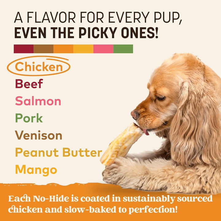 No Hide Small Long Lasting Dog Chew Rolls, Chicken - 6 Count