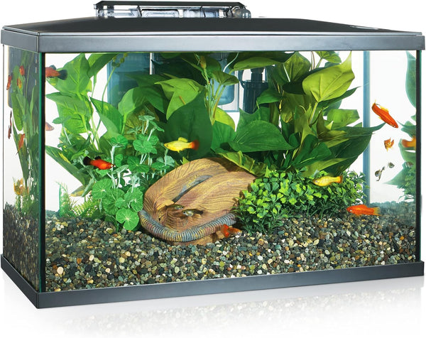 LED Aquarium Kit, 10 Gallon