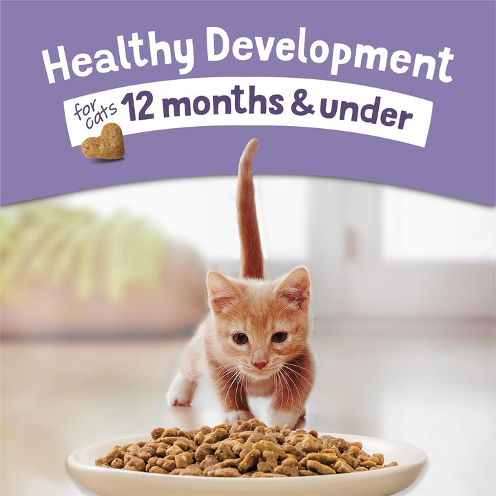 Purina Kitten Chow Dry Cat Food