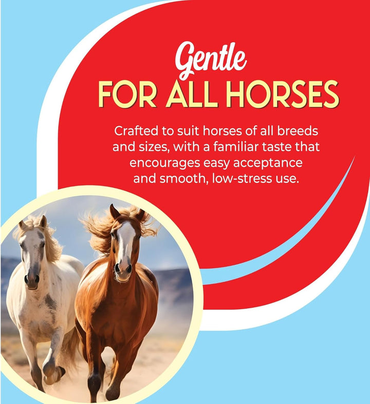 Ivermectin Horse Paste 1.87% | Apple Flavor – 6.08G Syringe for Equine Use Only up to 1250 LB