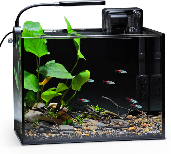 2.5 Gallon Nano Nature Aquarium Kit, Ultra-Clear Rimless Desktop Fish Tank with Light, Filter, Gravel and Rock, Perfect for Small Fish, Shrimp, or Betta, Complete Version, Black