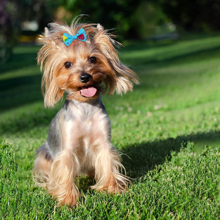 100PCS Cute Puppy Dog Small Bowknot Hair Bows,Yorkie Doggie Bows with Rubber Band Pet Grooming Bows Dog Hair Costume Accessories for Small Dog