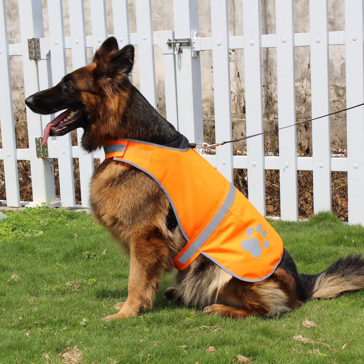 Dog Reflective Vest High Visibility Safety Jacket for Walking Running Hiking to Keep Dogs Visible Safe from Cars and Hunting Accidents Orange XL