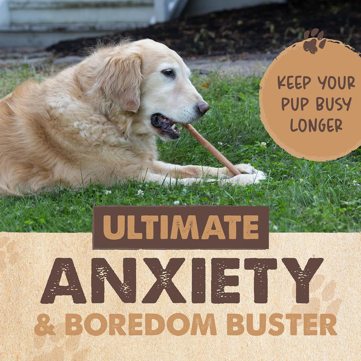 Long Lasting 12" Bully Sticks for Dogs - All Natural Grass Fed Beef Chews. Lower Odor Dog Bully Sticks for Large Dogs, Medium and Small Breeds. Single Ingredient Treats