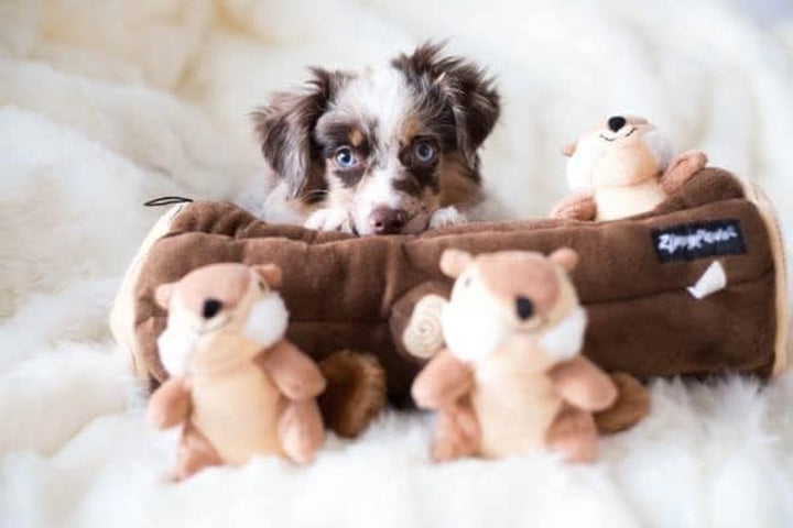 Burrow- Interactive Dog & Puppy Toys for Boredom, Stimulating Pet Products to Keep Them Busy, Hide & Seek Plush Dog Puzzles, Squeaky Toy for Enrichment, for Small & Medium Dogs- Chipmunk Log