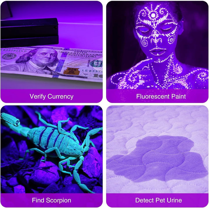 2 Pack UV Flashlight, 12 LED Handheld Blacklight Flashlight 395Nm Mini Light Torch Detector for Dog Pet Urine Stains, Bed Bugs and Scorpions. (Batteries Not Included)