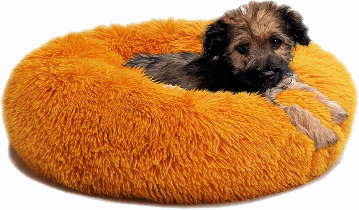Small Calming Dogs Bed for Small Dogs Anti-Anxiety Machine Washable Fluffy Luxury Anti-Slip Waterproof Mute Base Warming Cozy Soft Pet Puppy round Bed