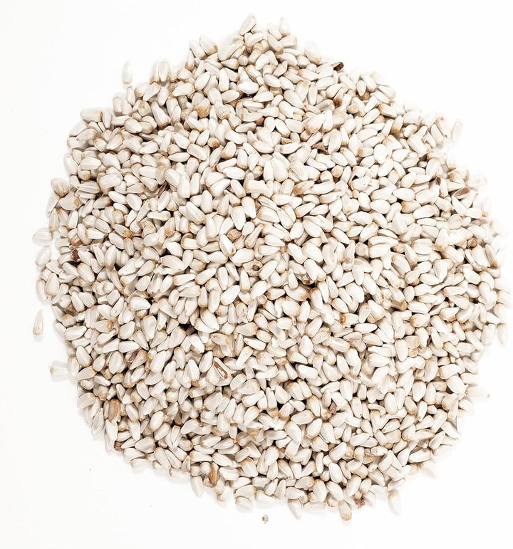 57075 Safflower Seed Wild Bird Food, 5 Pound (Pack of 1)