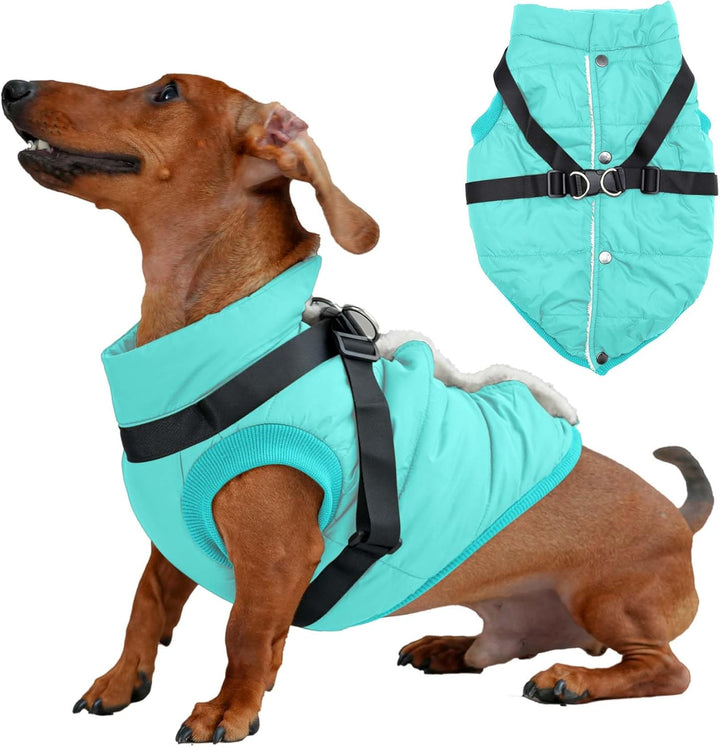 2 Layers Fleece Lined Warm Dog Jacket for Puppy Winter Cold Weather,Soft Windproof Small Dog Coat,Green S