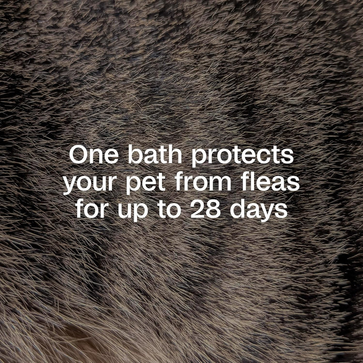 plus Flea & Tick Shampoo with Precor IGR for Cats, Kittens, Dogs & Puppies over 12 Weeks of Age, Sensitive Skin Flea Treatment, Kills Adult Fleas, Flea Eggs, Ticks, and Lice, 6 Ounces