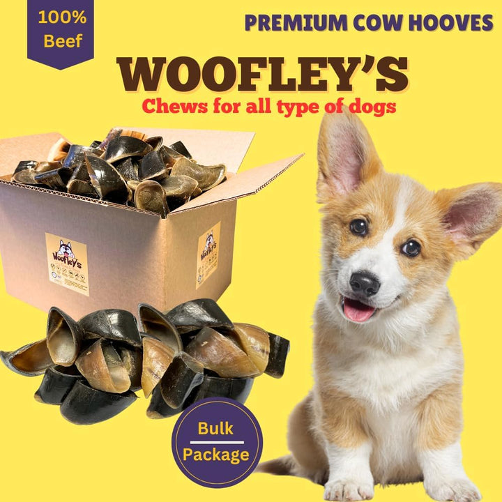 - Cow Hooves for Dogs (50 Count) - Safe Cow Hoof Dog Chews -Fed Cattle - Best Natural Alternative to Rawhide