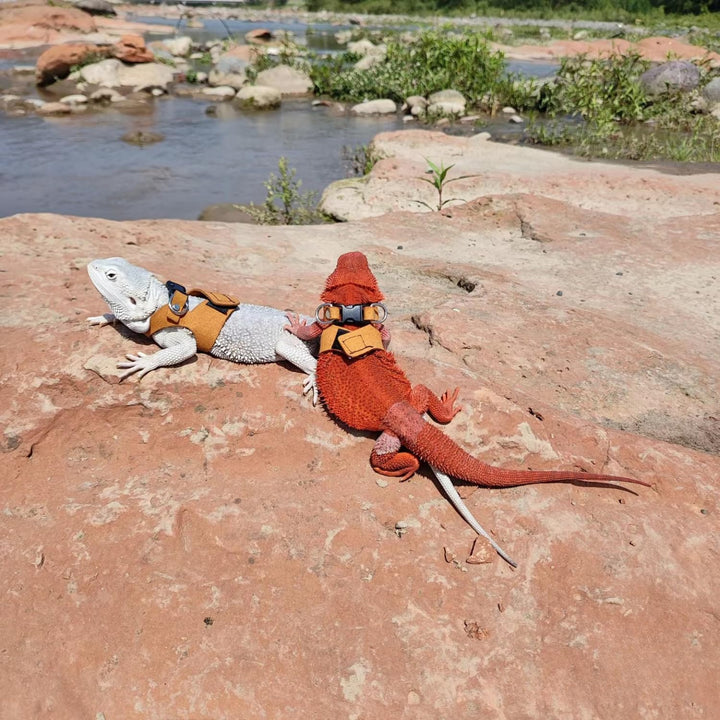 3 Pack Bearded Dragon Harness and Leash Set - Adjustable Soft Leather Lizard Harness Leash Small Animal Traction Rope Training Walking Vest Accessories for Reptile Squirrel Rat (Brown)