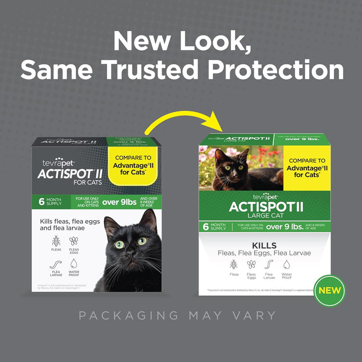 Actispot II Flea Treatment for Large Cats 9+ Lbs | 6 Doses | Powerful Prevention and Control