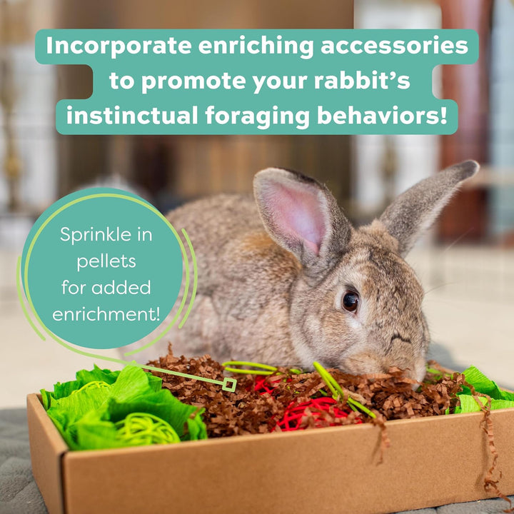 Essentials Rabbit Food, Adult, Made with  Timothy Hay for Rabbit, Pet Pellets with Vitamins & Minerals, Small Animal Pet Products, Bunny Food, Made in USA, High Fiber, 10 Lb. Bag