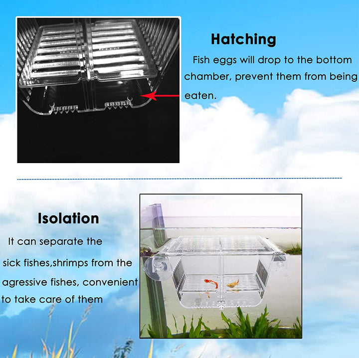 Fish Breeding Box, Acrylic Fish Isolation Box with Suction Cups, Aquarium Acclimation Hatchery Incubator for Baby Fishes Shrimp Clownfish and Guppy... Small Size (S)
