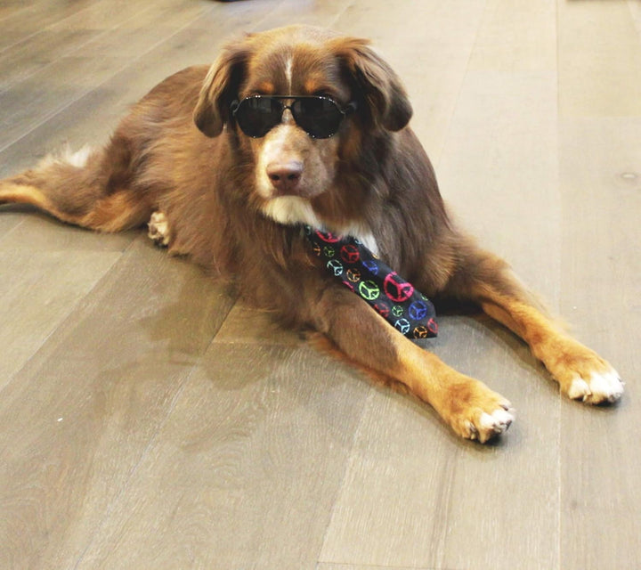 G010 Dog Pet Costume Aviator Sunglasses for Medium Breeds 20-40 Lbs (Black)