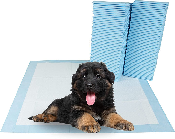 Puppy Pads Leak-Proof 100 Count 22"X 22" - Absorbent Pee Pads for Dogs with 6-Layer Design, Rapid Dry Sheet & Built-In Attractant - Dog Pad with Odor Control, Perfect for Puppies & Senior Dogs