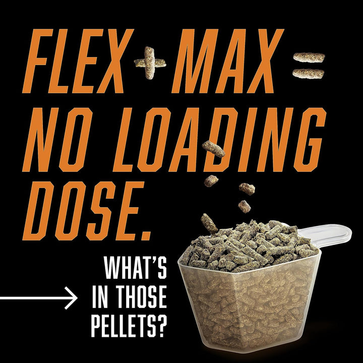 Flex+Max Horse Joint Supplement Pellets, Highly Palatable, Comprehensive Equine Formula with Glucosamine, MSM, Chondroitin & Flaxseed, 10Lb Tub / 60 Day Supply