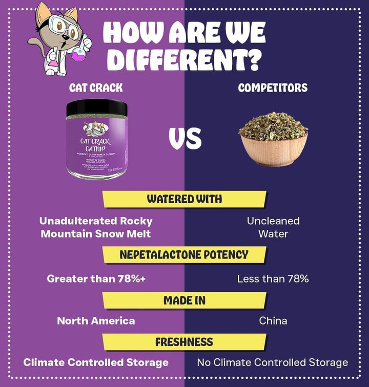 Organic Catnip, 100% Natural Cat Nips Organic Blend That Energizes and Excites Cats, Used for Cat Play, Training, & New Catnip Toys (1 Cup)