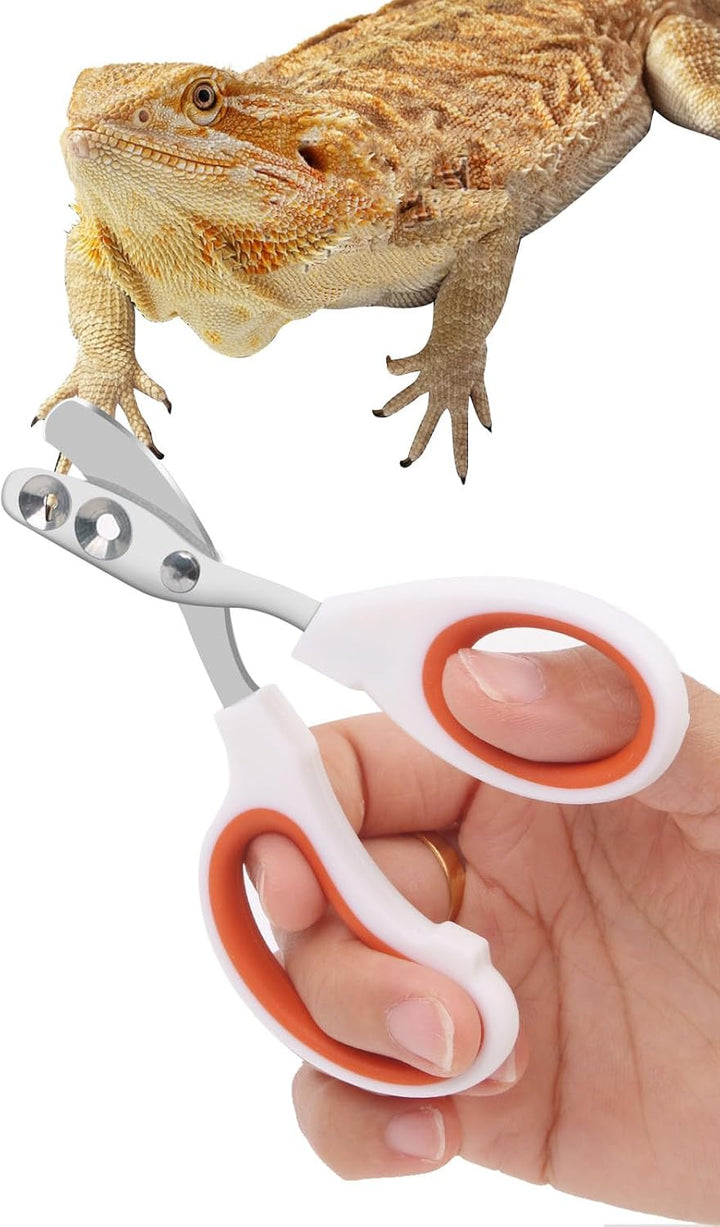 Stainless Steel Bearded Dragon Nail Clippers,Lizard Nail Clippers,Bearded Dragon Supplies,Bearded Dragon Nail Scissors for Small Reptiles,Turtle,Chameleon,Iguana，Hedgehog（Blue）