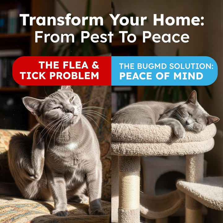 Pet Safe Flea Spray for Cats & Home | Natural Indoor Flea Killer & Tick Prevention | Plant-Based Flea Treatment for Carpet, Furniture & Cat Trees with Essential Oils