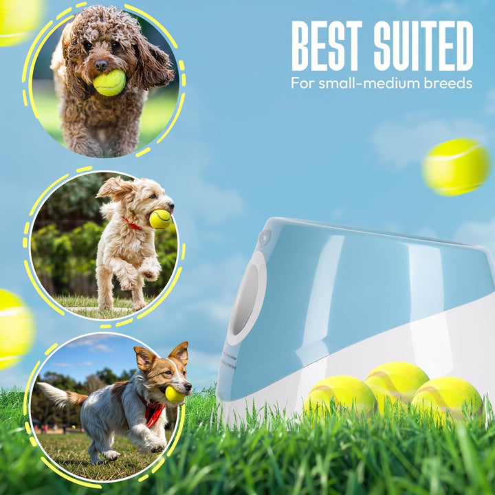 Automatic Dog Ball Launcher for Small Dogs – Dog Ball Thrower for Indoor Outdoor with 3 Adjustable Distance Settings 10Ft, 20Ft, and 30Ft – Interactive Toy with 3 Mini Tennis Balls 2 Inch
