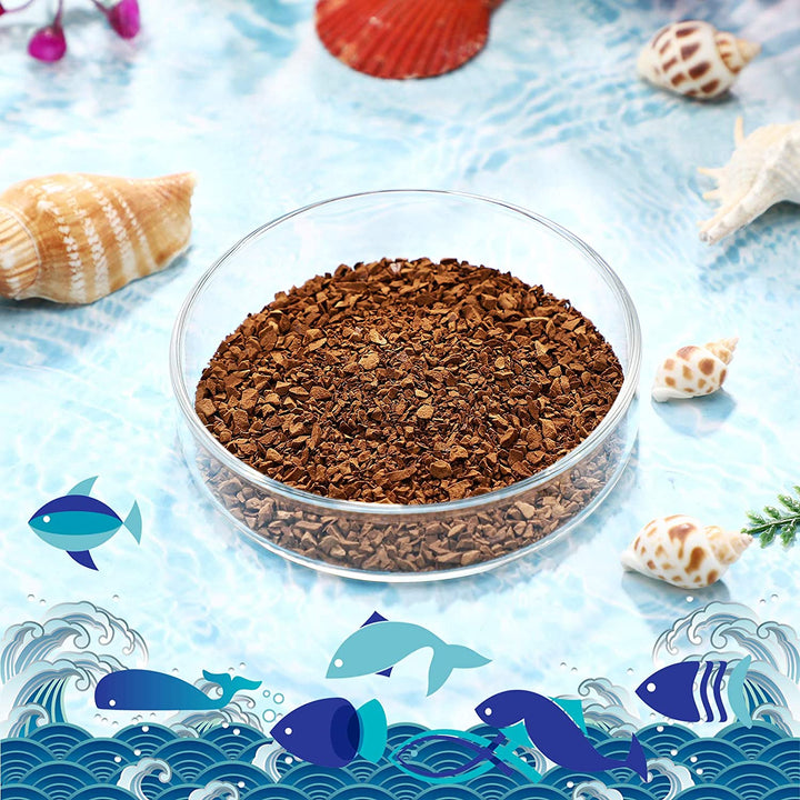 3 Pieces Aquarium Shrimp Feeding Dish Clear Glass Fish Tank Feeding Bowl Food Bowl Freshwater Tray Feeder, 60Mm, 65Mm, 80Mm