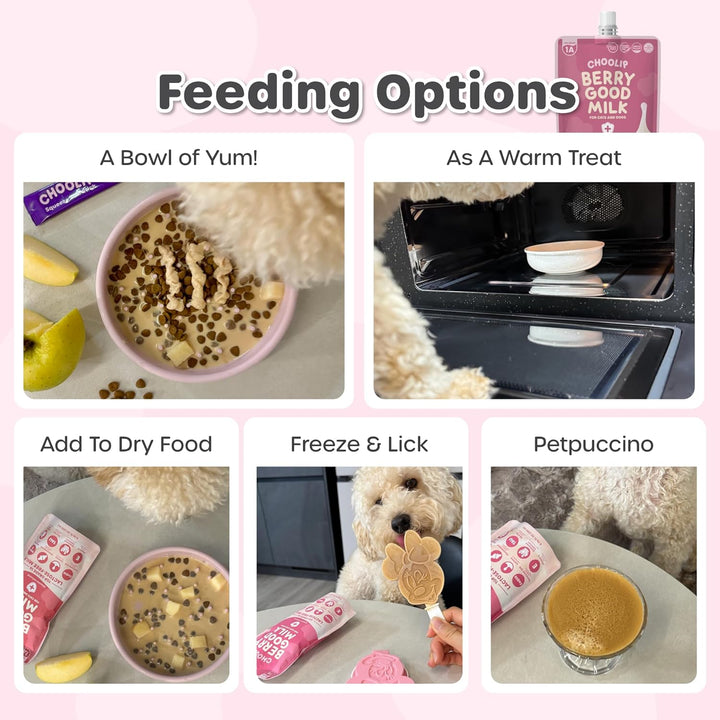 Berry Good Milk – Lactose-Free, Vitamin-Enriched Drink for Cats & Dogs | Supports Urinary Health, Digestion & Joints | Free from Grains, Gluten and Antibiotics