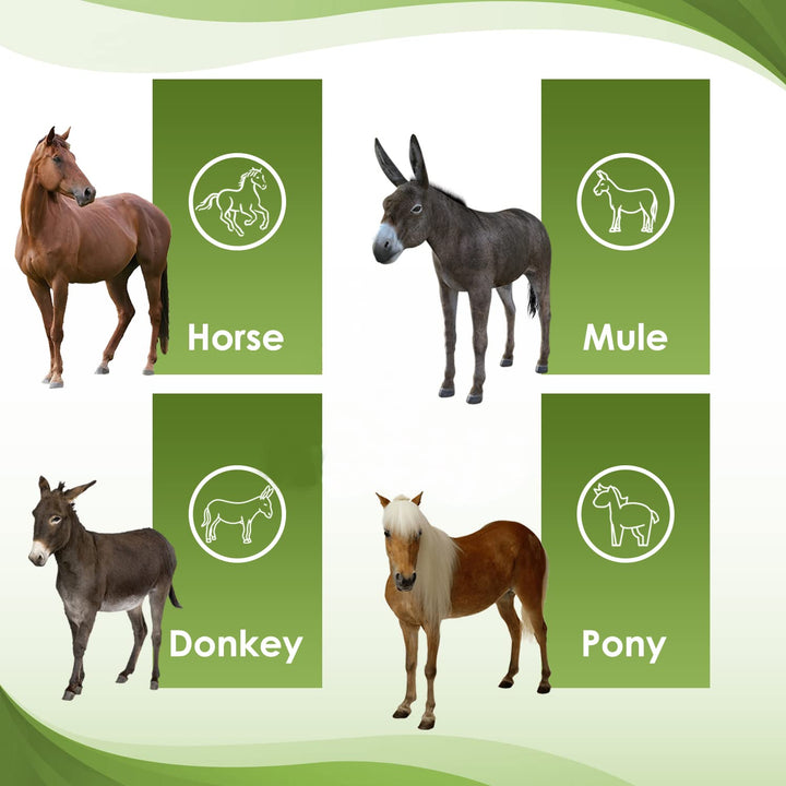 Oval Face Curry Comb Brush for Horse Grooming and Coat Care with Grip Handle